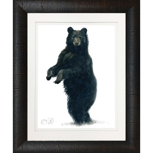 KS- BLACK BEAR 2